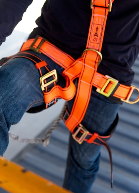 Salus iungite Webbing