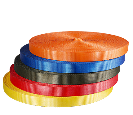 Ludis Propositum Webbing